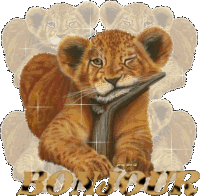 Gif bonjour lion